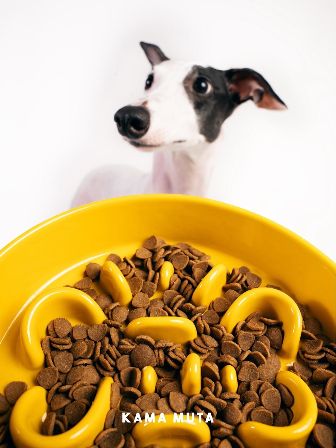 Slower Feeder Pet Bowl