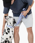 Light Alloy Dog Leash