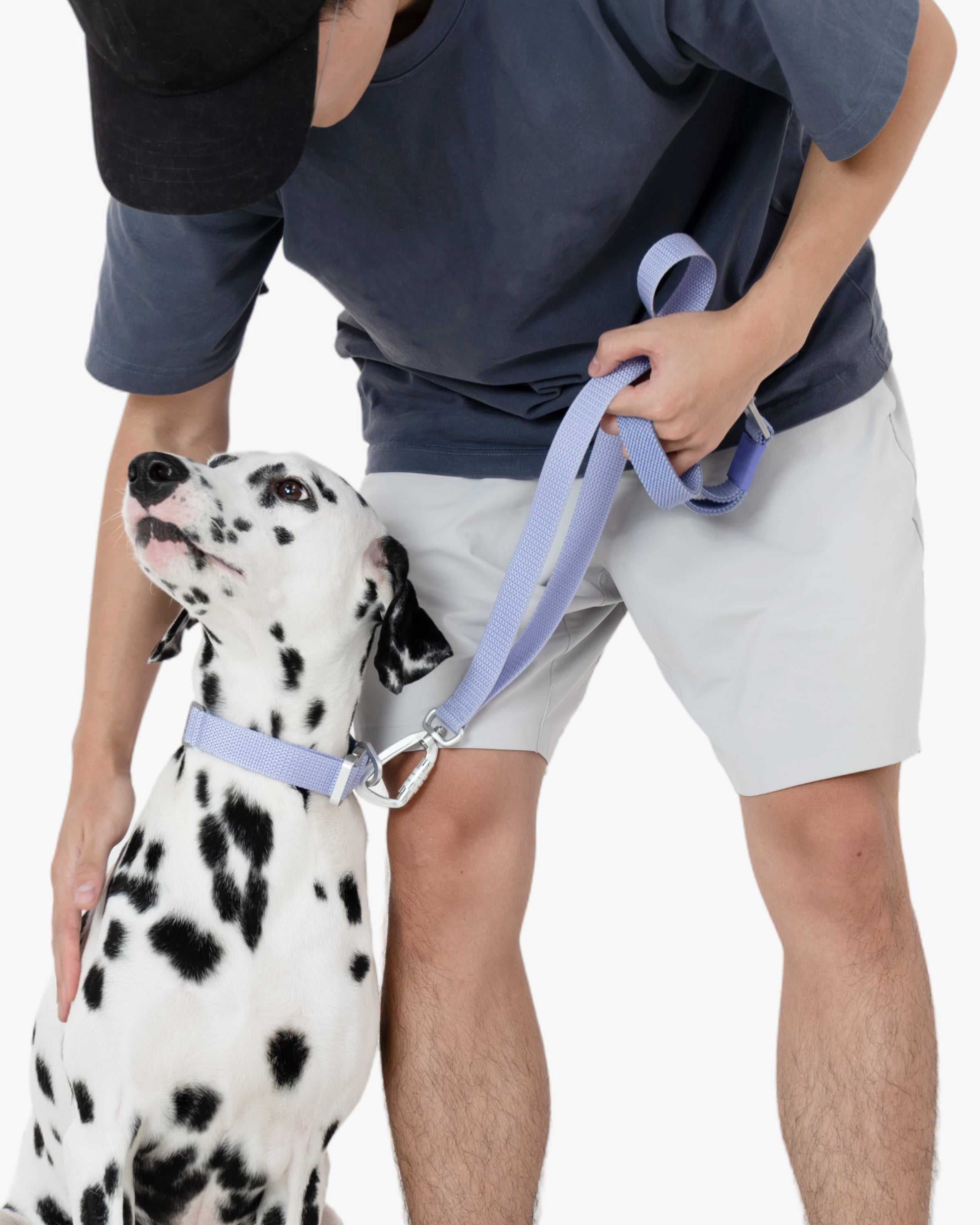 Light Alloy Dog Leash