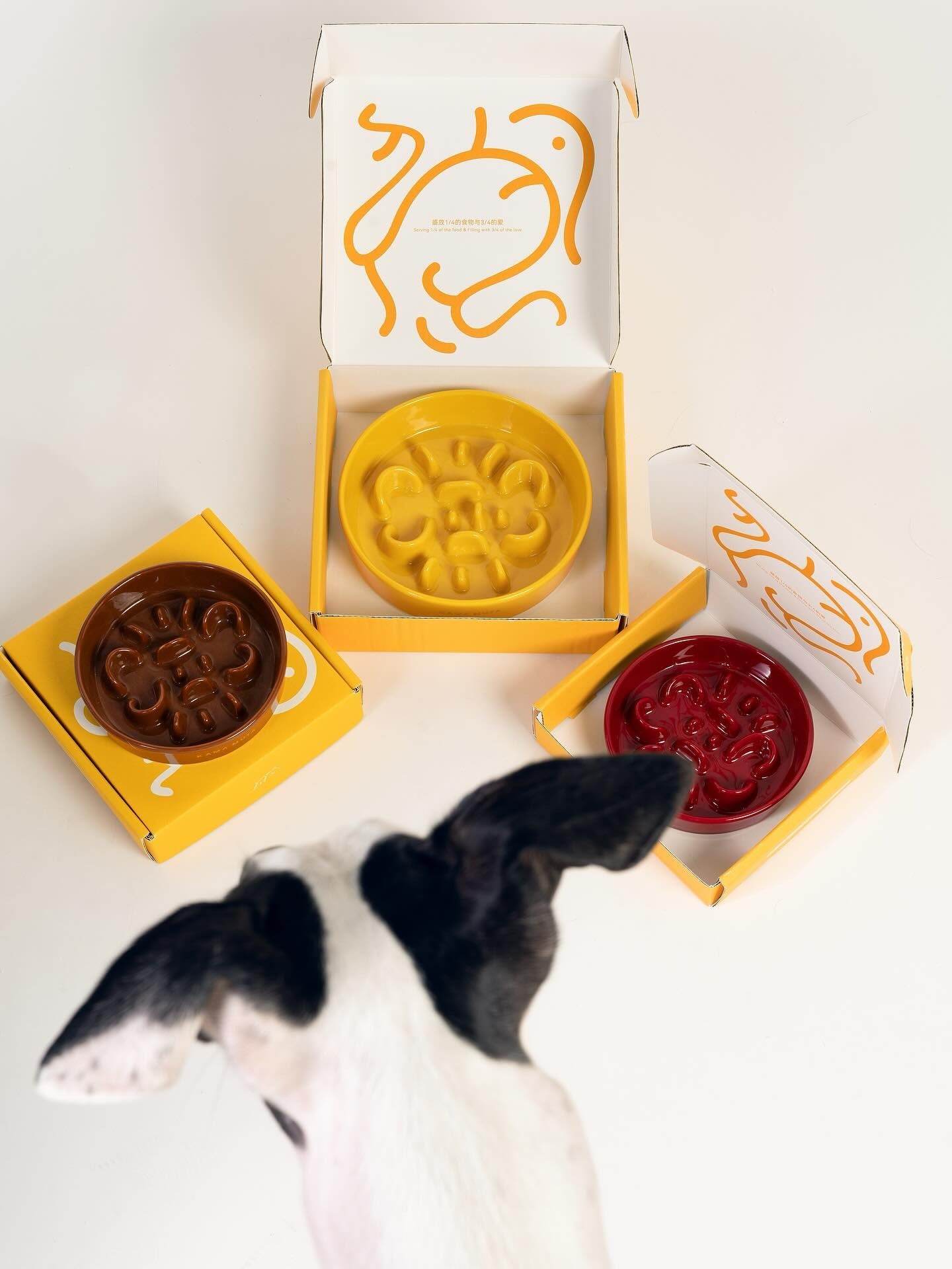 Slower Feeder Pet Bowl