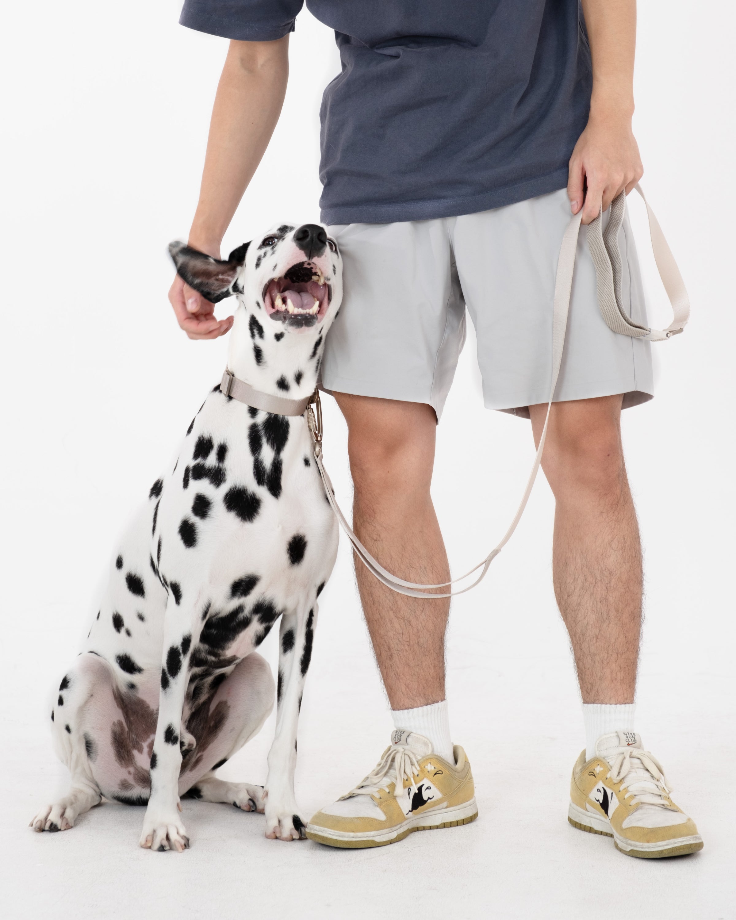 Light Alloy Dog Leash