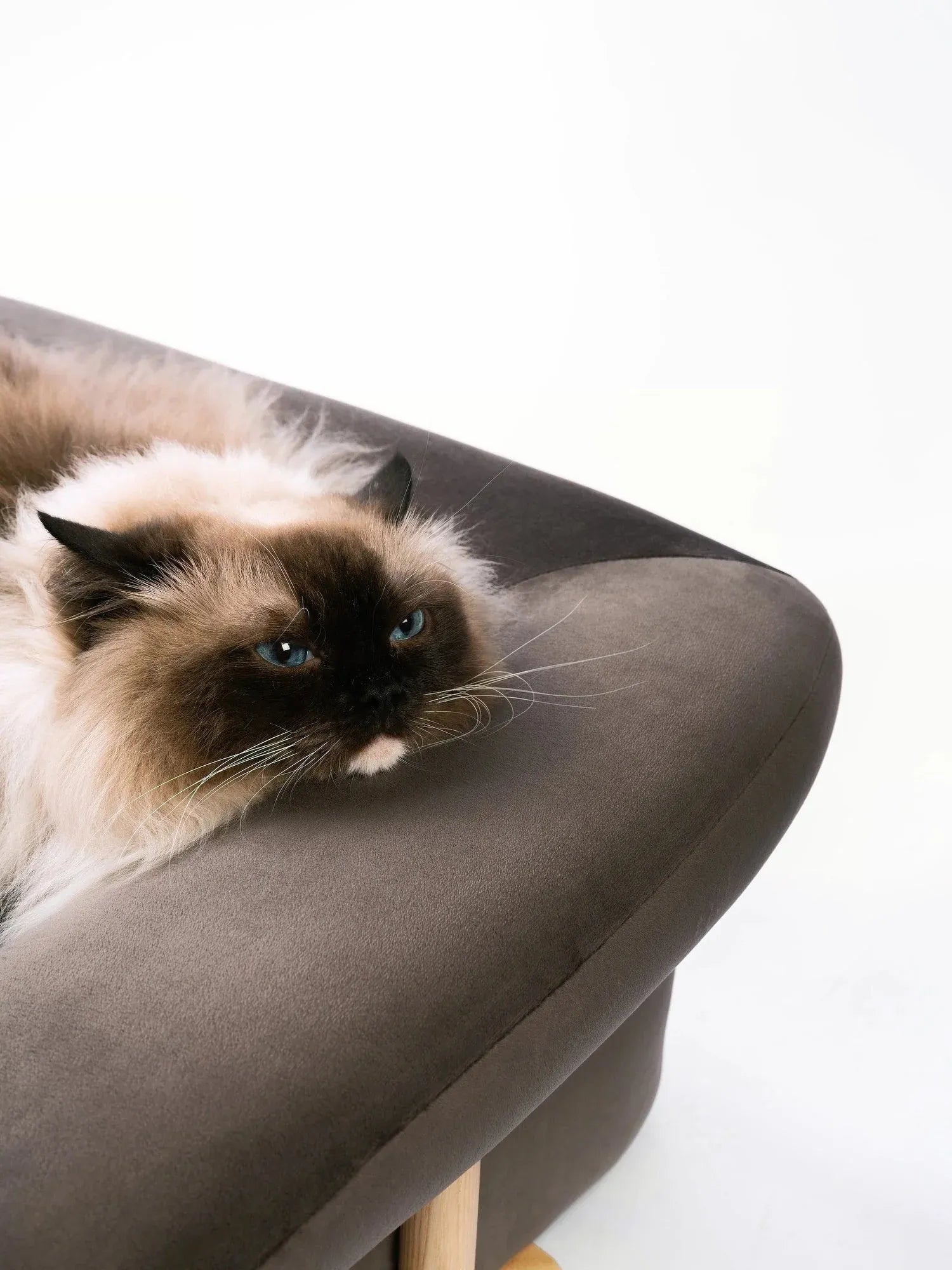 Orthopedic Support Bread Pet Bed