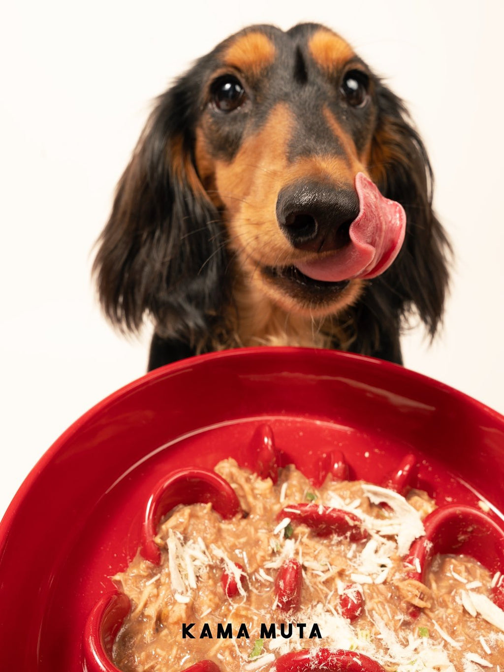Slower Feeder Pet Bowl