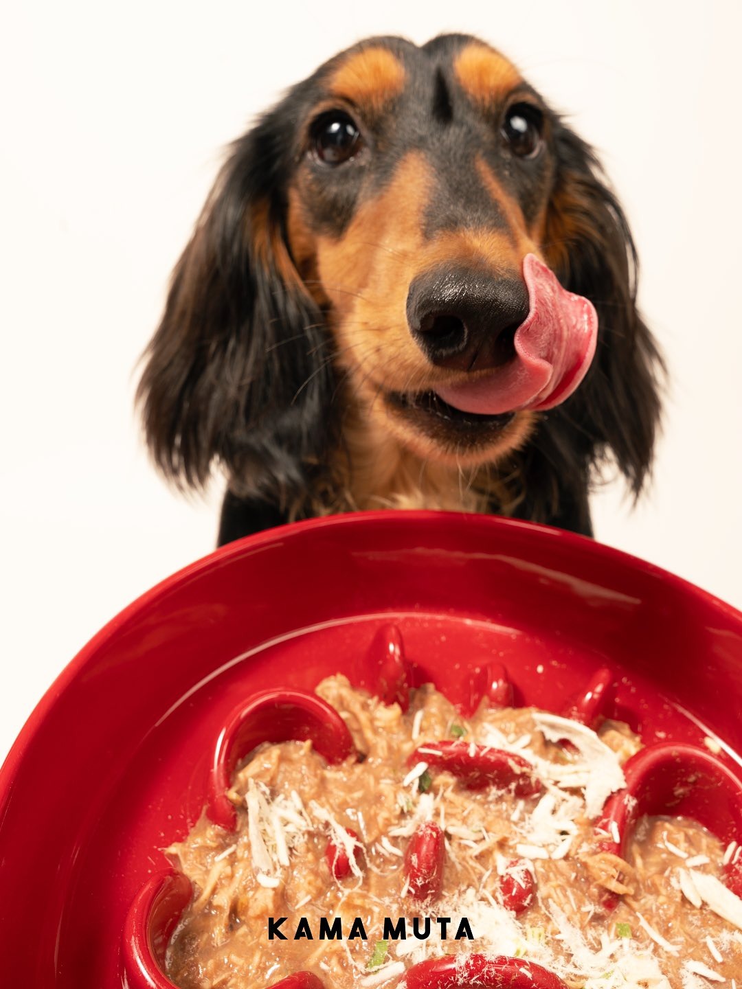Slower Feeder Pet Bowl