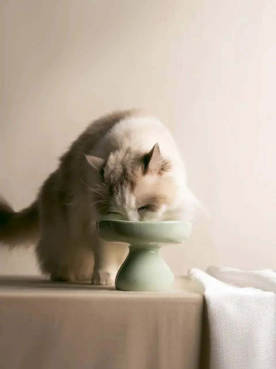 Mushroom-Style Elevated Ceramic Cat Bowl