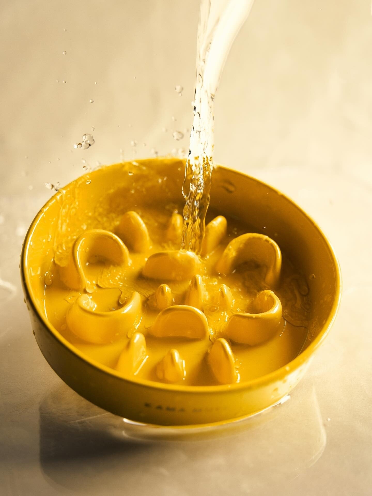 Slower Feeder Pet Bowl