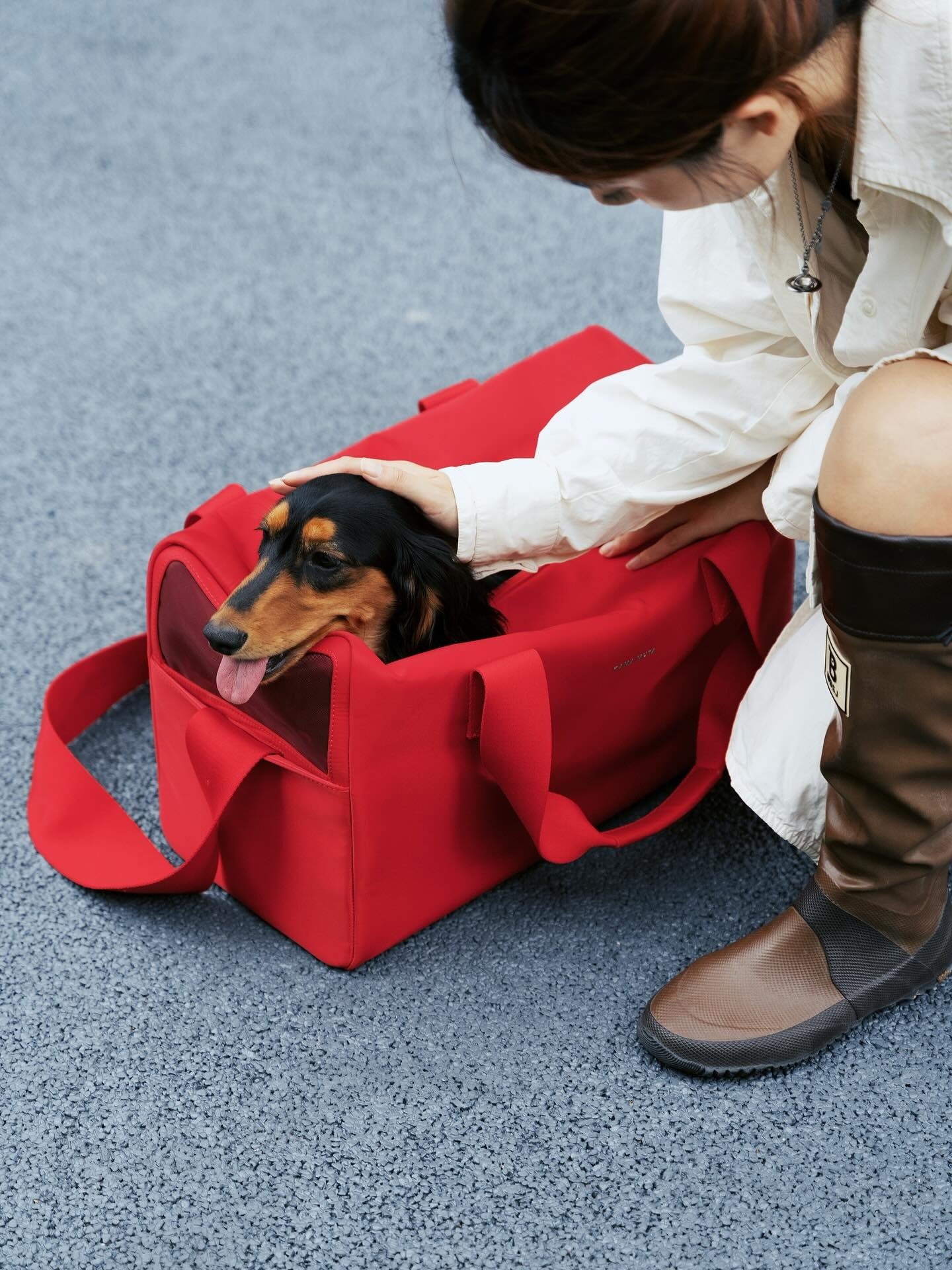 Pet Stealth Carrier Bag