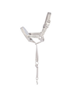 Dog Headcollar Sliver - VOF