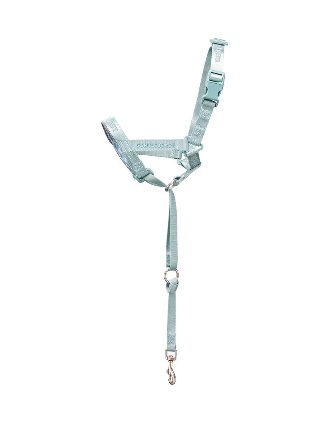 Light blue dog harness with a clip on a white background