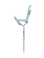 Light blue dog harness with a clip on a white background