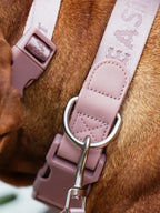 Dog Collar Pink - VOF