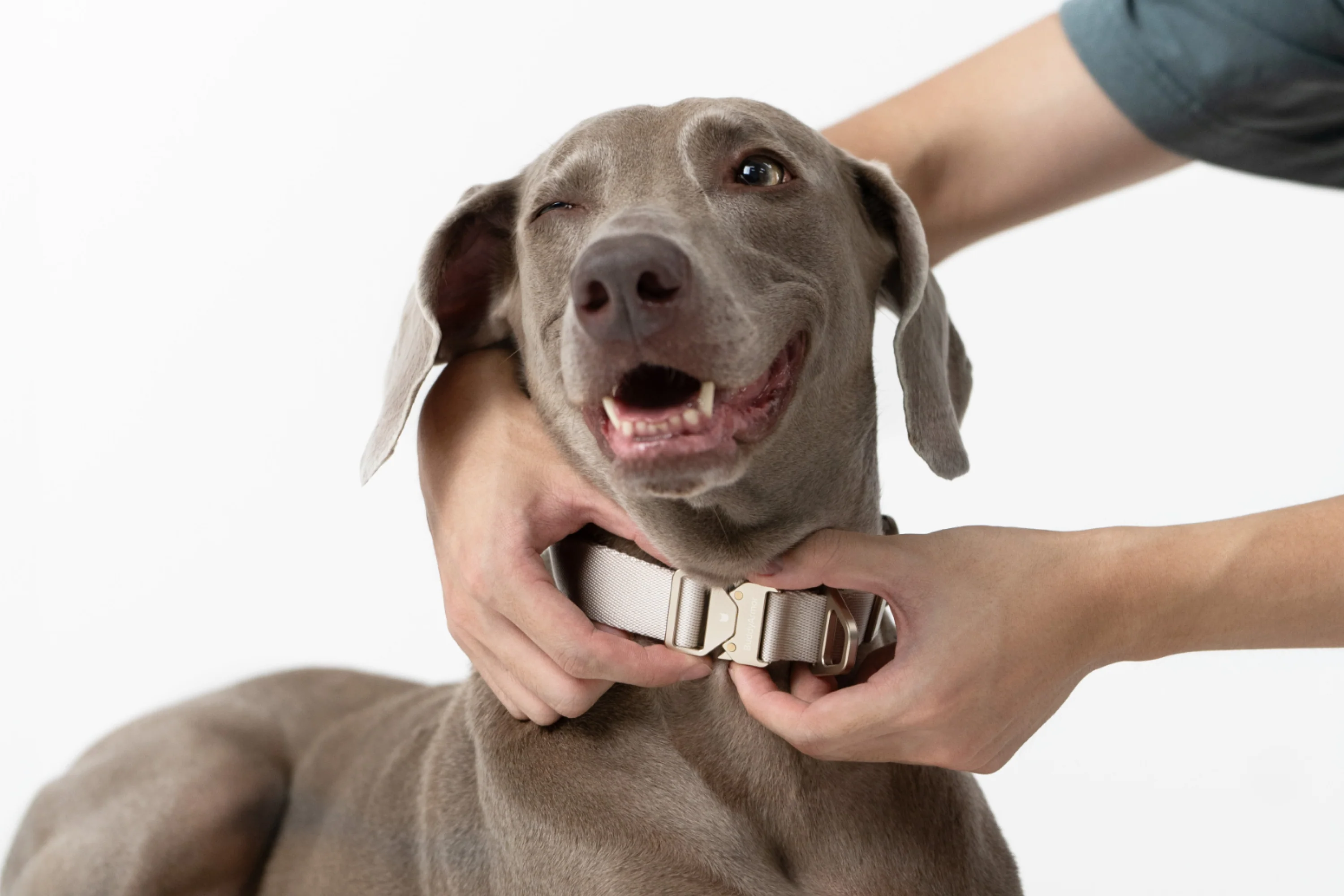 Lightweight Alloy Collar Pro + Airtag Holder