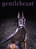 Purple GENTLEBEAST dog leash displayed on a wooden surface with a metal clasp and fabric texture visible.