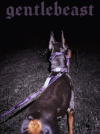 Purple GENTLEBEAST dog leash displayed on a wooden surface with a metal clasp and fabric texture visible.
