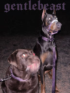Purple GENTLEBEAST dog leash displayed on a wooden surface with a hook and soft handle for comfortable walking.