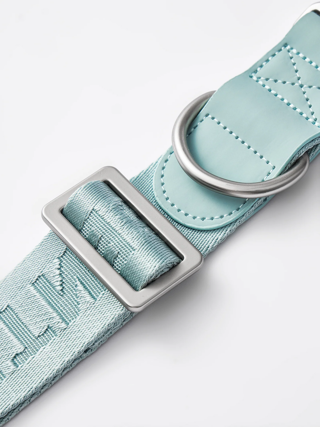 Dog Collar Mint - VOF
