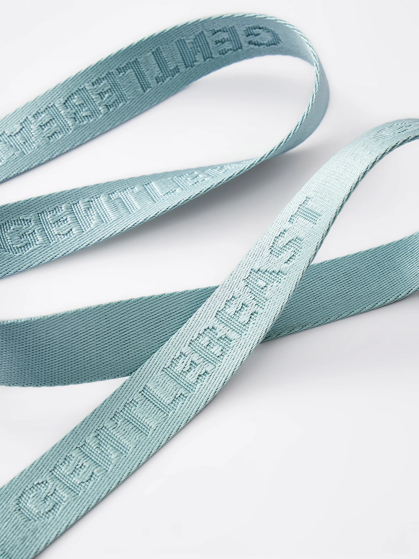 GENTLEBEAST mint blue dog leash displayed on a wooden surface with a soft texture and sturdy clasp.