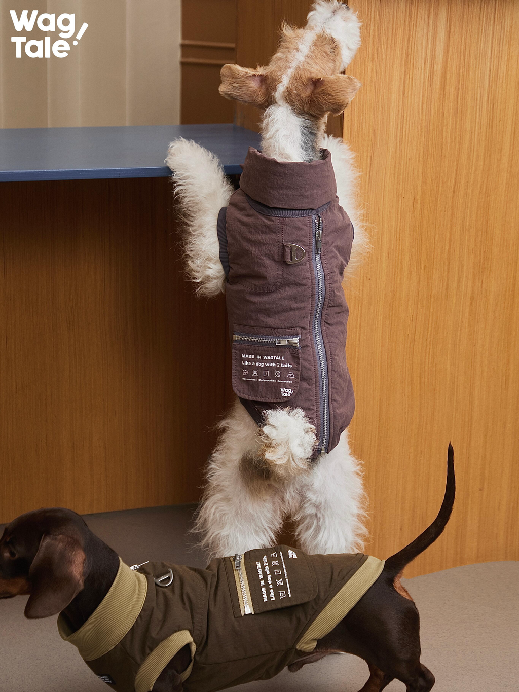 Back view of an insulated dog vest with built-in leash ring and easy-on back zipper, designed for one-piece winter walks.