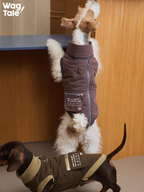 Back view of an insulated dog vest with built-in leash ring and easy-on back zipper, designed for one-piece winter walks.
