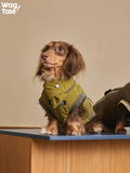 Dog sitting while wearing an insulated winter dog vest, showing balanced proportions, easy-on fit, and comfortable everyday wear.
