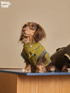 Dog sitting while wearing an insulated winter dog vest, showing balanced proportions, easy-on fit, and comfortable everyday wear.
