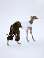 Italian Greyhound walking in a white studio while wearing flocked cotton dog winter pants, showing full-leg coverage, tailored seat fit, and balanced silhouette for sighthounds.