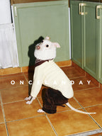 Italian Greyhound sitting on tiled flooring wearing flocked cotton dog winter pants with a cream top, highlighting tapered cuffs, soft flocked texture, and winter-ready styling.