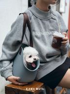 Small dog travel carrier bag used during urban outings, offering a secure and comfortable space for small dogs.