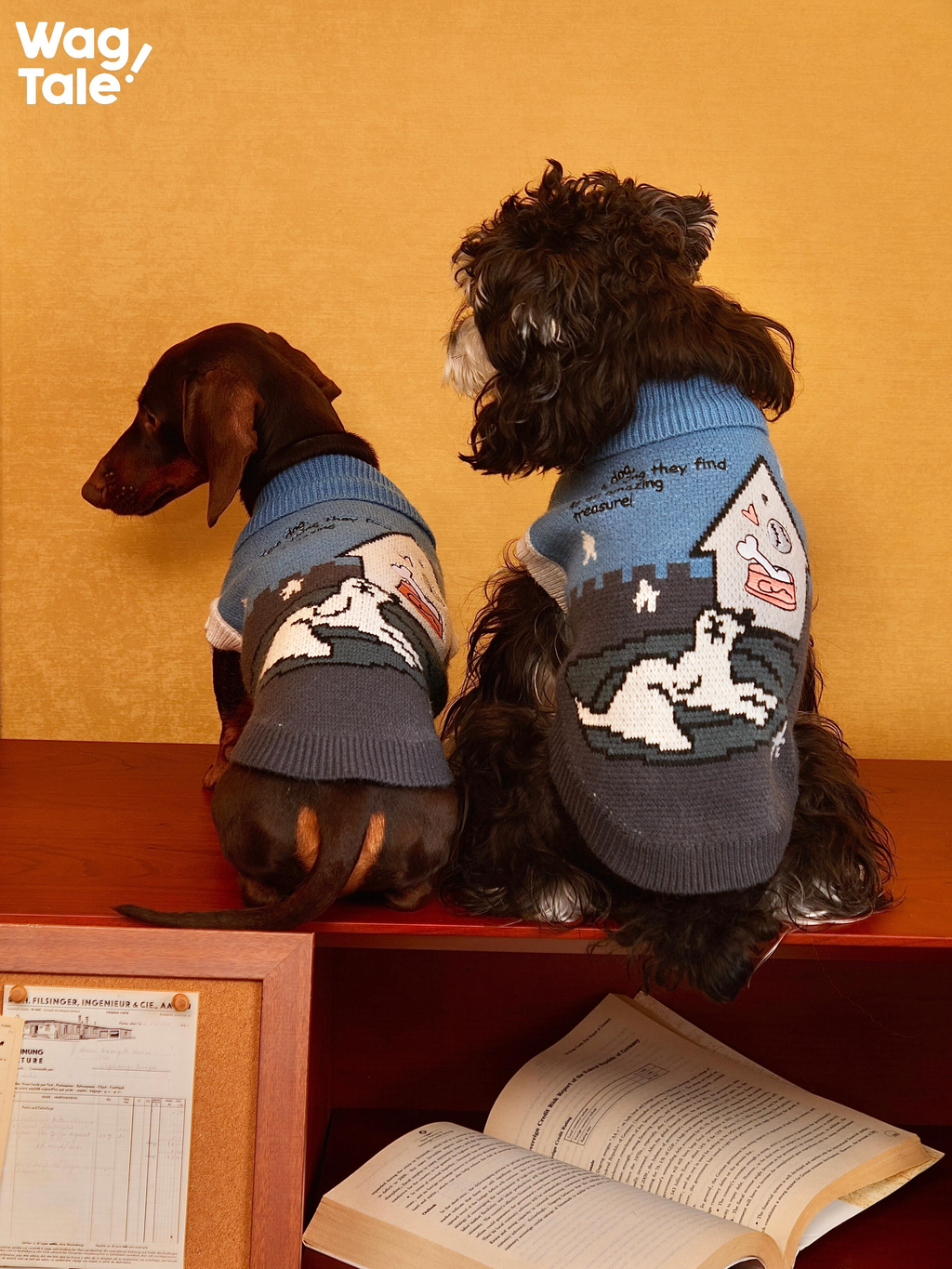 Back view of two small dogs wearing blue knitted dog sweaters with graphic patterns, highlighting the anti-pilling knit texture and illustrated design across the back.
