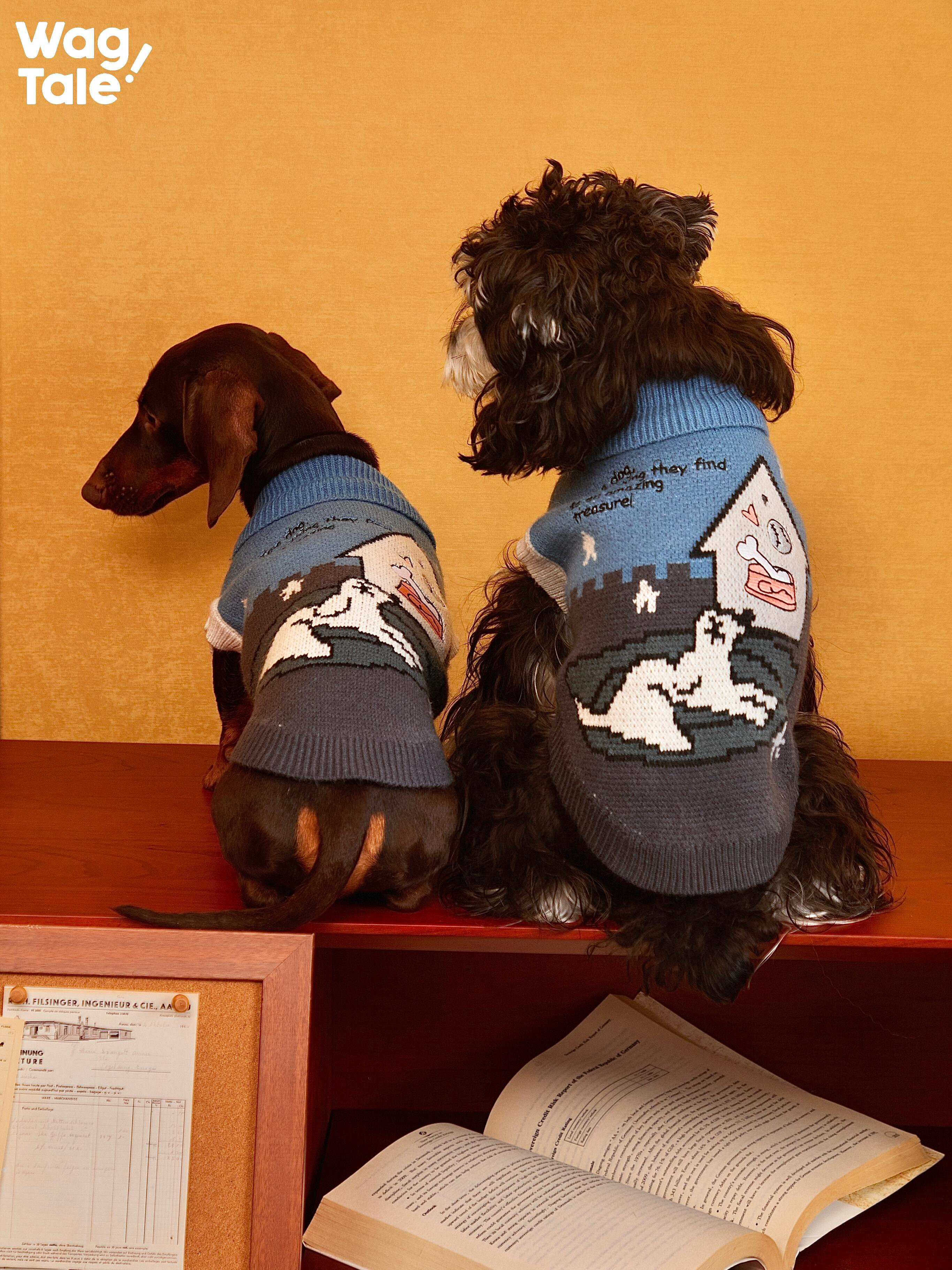 Back view of two small dogs wearing blue knitted dog sweaters with graphic patterns, highlighting the anti-pilling knit texture and illustrated design across the back.