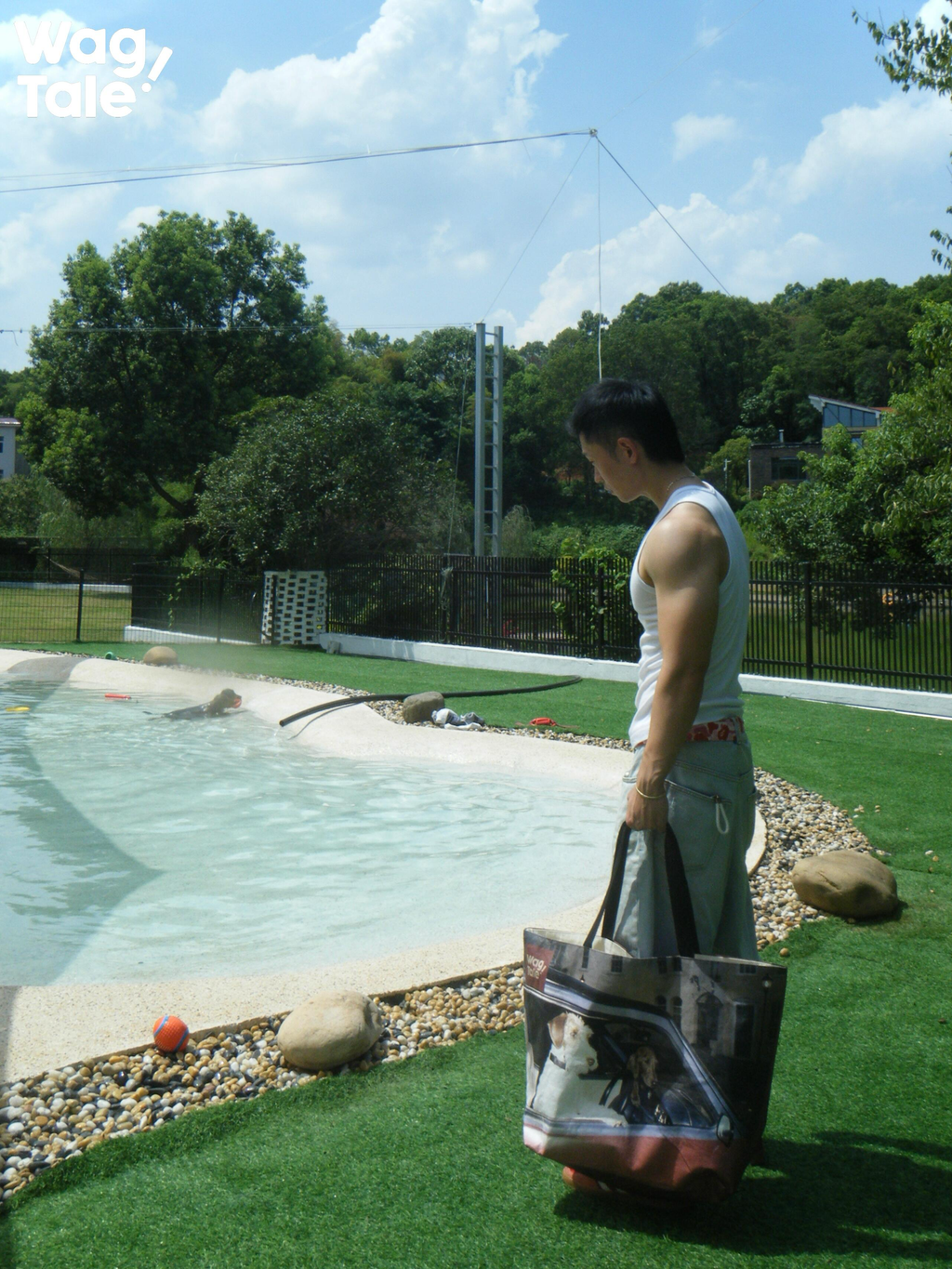 A person holding a large capacity tote bag outdoors near a pool, showing the printed dog-in-car artwork and wide shoulder straps.