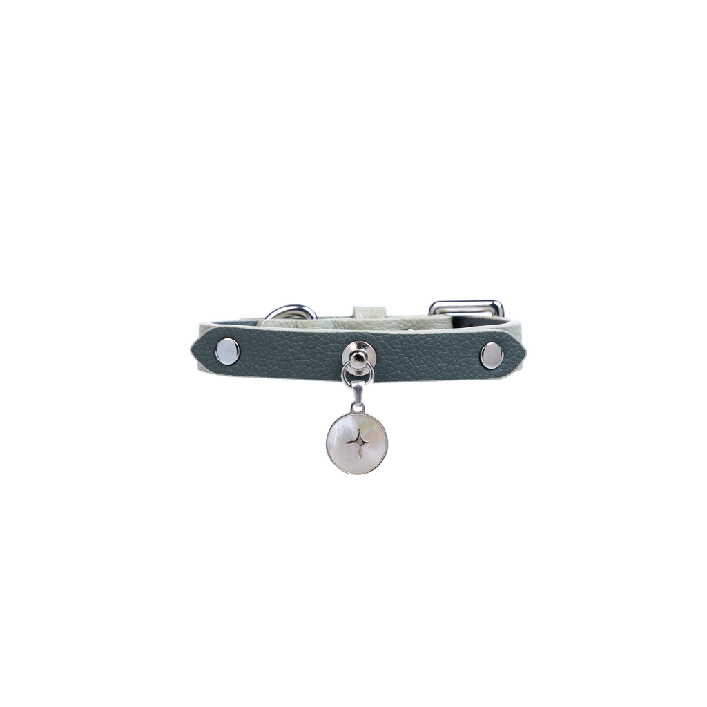 Blue leather dog collar laid flat, showing clean edges, metal fasteners, and charm placement