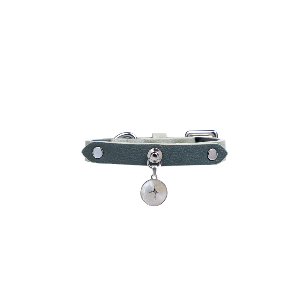 Blue leather dog collar laid flat, showing clean edges, metal fasteners, and charm placement