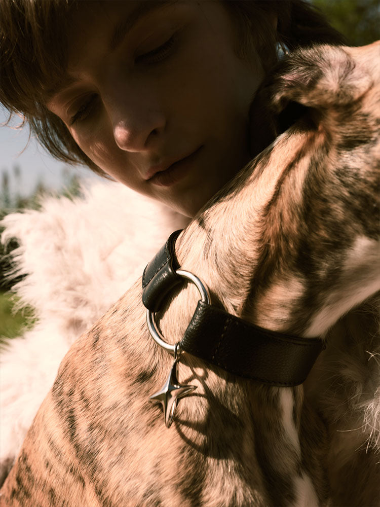 Premium leather dog collar with metal ring detail, shown during a calm moment between dog and owner.