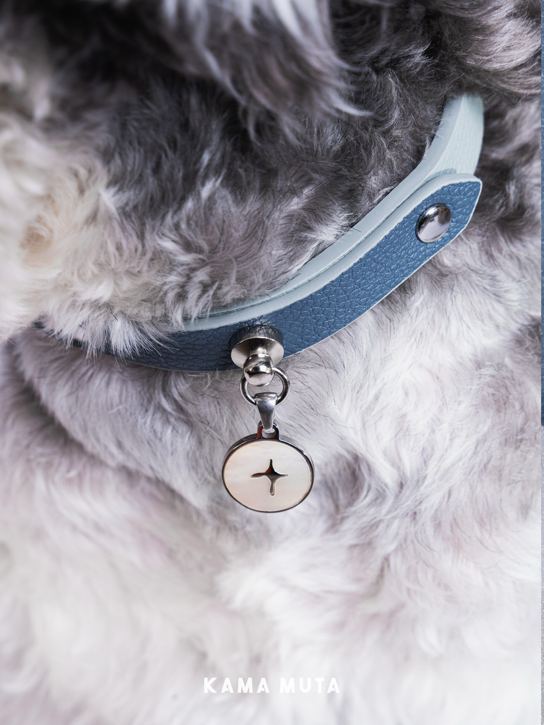 Leather dog collar with a mother-of-pearl charm resting against the dog's fur, highlighting fine material contrast