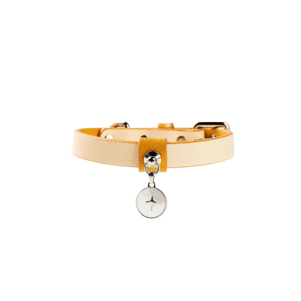 Ivory leather dog collar with a mother-of-pearl charm, featuring a lightweight design and polished metal hardware