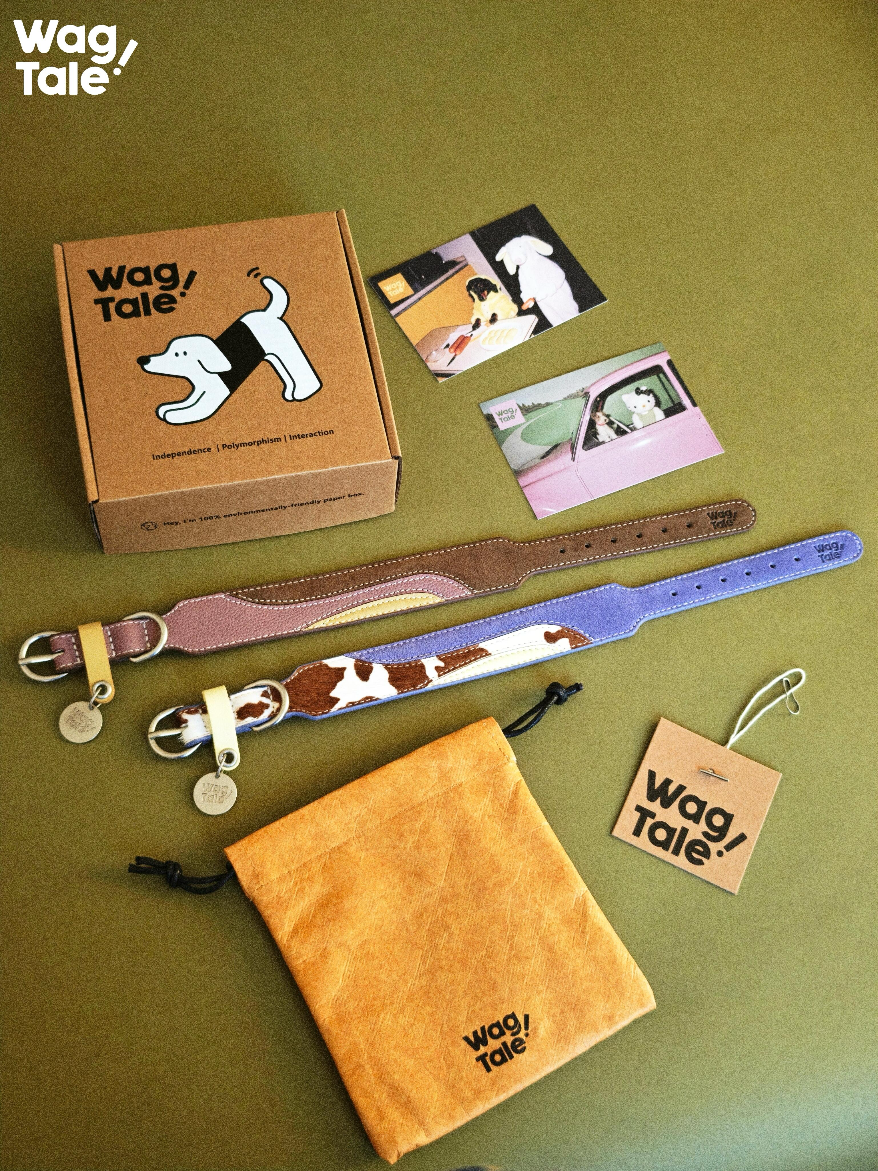 Wide leather dog collar set displayed with branded box, storage pouch, and cards, highlighting premium materials and thoughtful packaging.