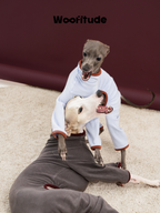 Italian Greyhound wearing a light blue dog pajama suit while sitting indoors, emphasizing softness and indoor comfort.