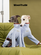 Two Italian Greyhounds wearing light blue full-body dog suits, sitting side by side to show stretch and flexibility around the shoulders.