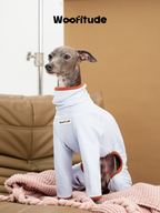 Italian Greyhound sitting upright in a light blue fleece dog suit, highlighting the high neck and relaxed sleeve length.