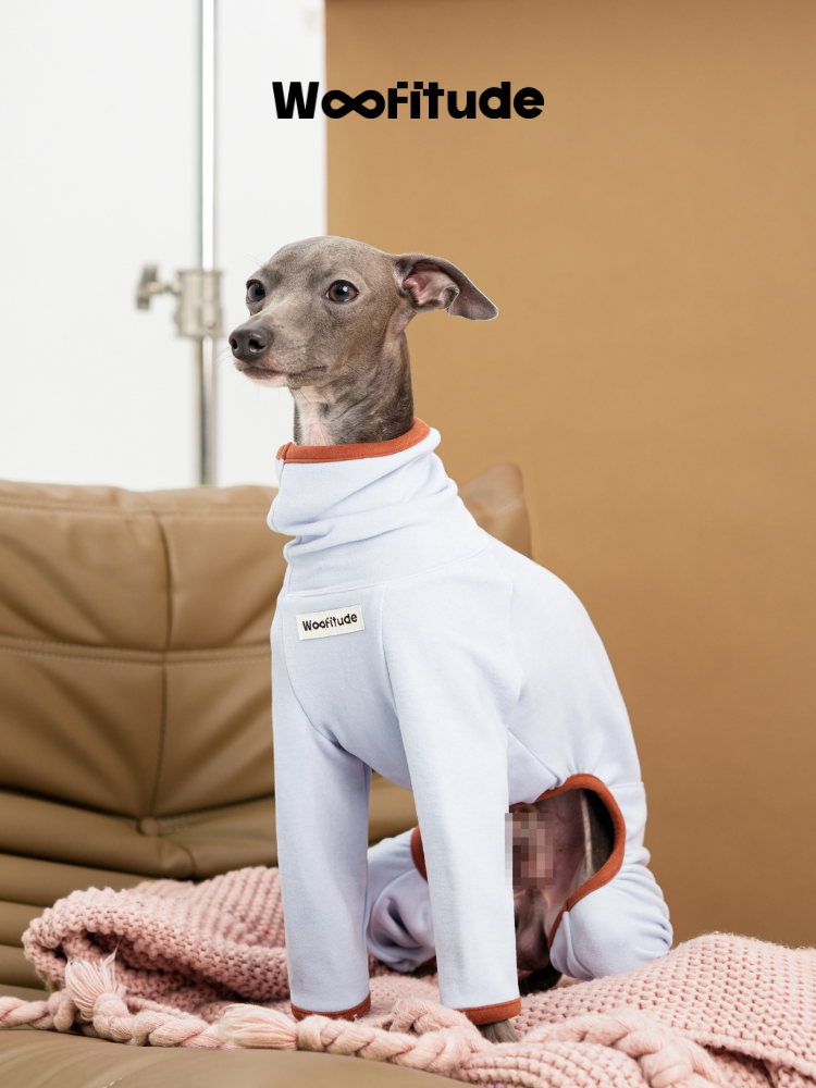 Italian Greyhound sitting upright in a light blue fleece dog suit, highlighting the high neck and relaxed sleeve length.