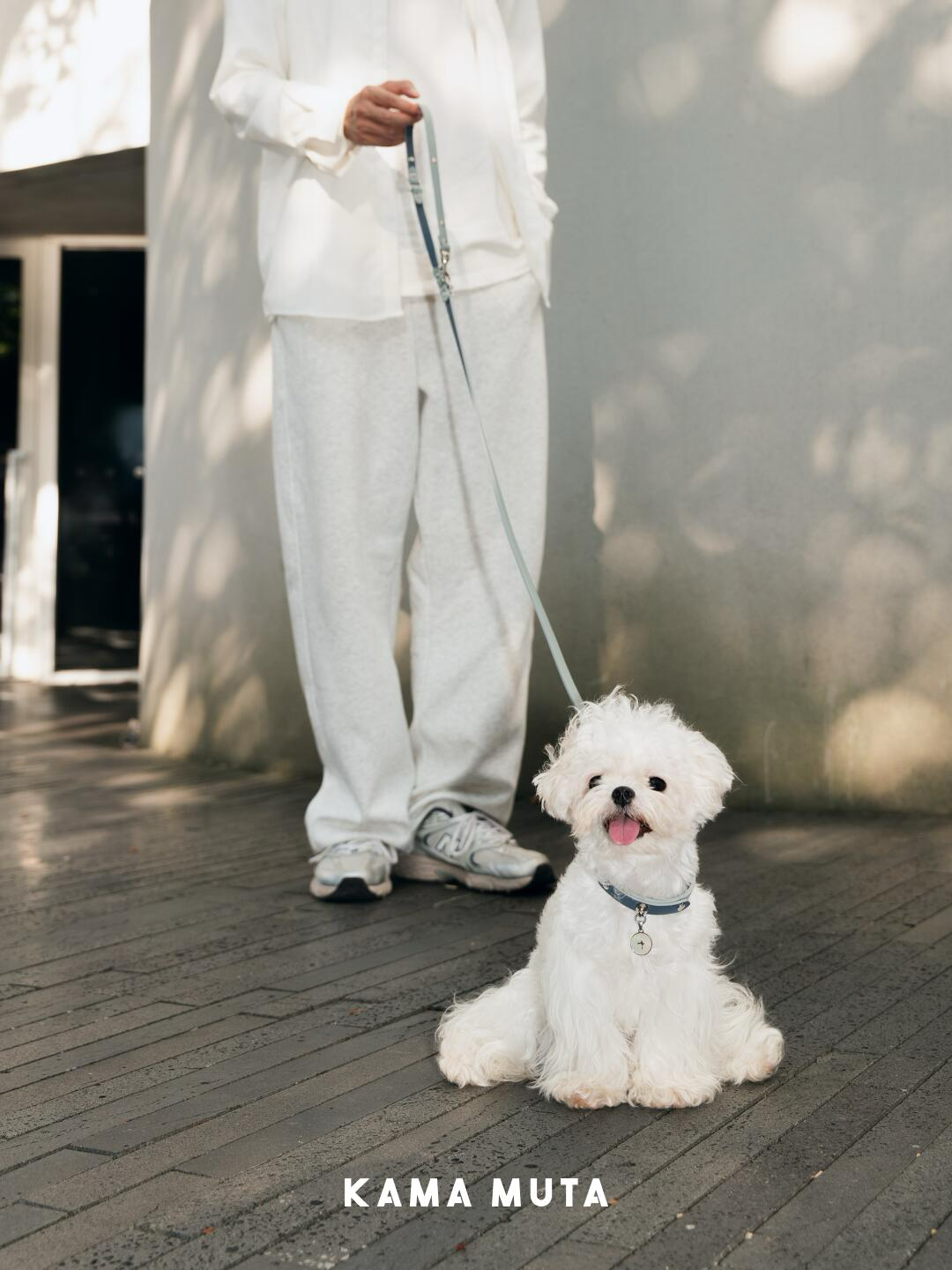 Lightweight dog leash designed for small dogs, shown during an outdoor walk with relaxed posture and natural light