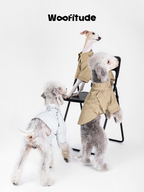 Group of dogs styled in lightweight dog shirts, showcasing different fits, colors, and clean silhouettes in a studio setting.