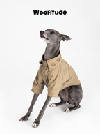 Italian Greyhound wearing a lightweight dog shirt in white, captured mid-movement to show flexibility and comfort.