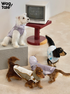 Multiple dogs wearing lightweight cooling dog vests in different colors, shown indoors to highlight breathable summer dog vests suitable for daily movement.