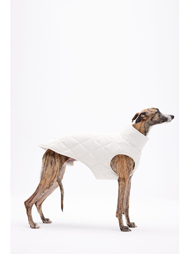 Lightweight dog vest shown from the side, highlighting balanced coverage and clean lines