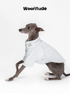 Italian Greyhound wearing a lightweight structured dog shirt in white, shown in a stretching pose with clean tailoring and short sleeves.