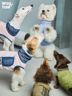A group of dogs interacting in lightweight technical dog vests, featuring breathable fabrics and a flexible fit designed for active urban movement.