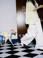 Oncelanday summer dog shirt displayed on a small dog, featuring lightweight fabric and a playful design for warm weather wear.