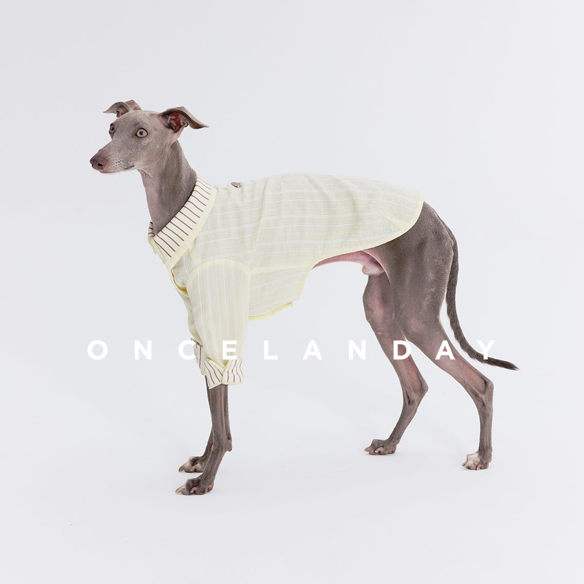 Oncelanday summer dog shirt logo featuring the brand's logo on a lightweight, breathable pet apparel piece.